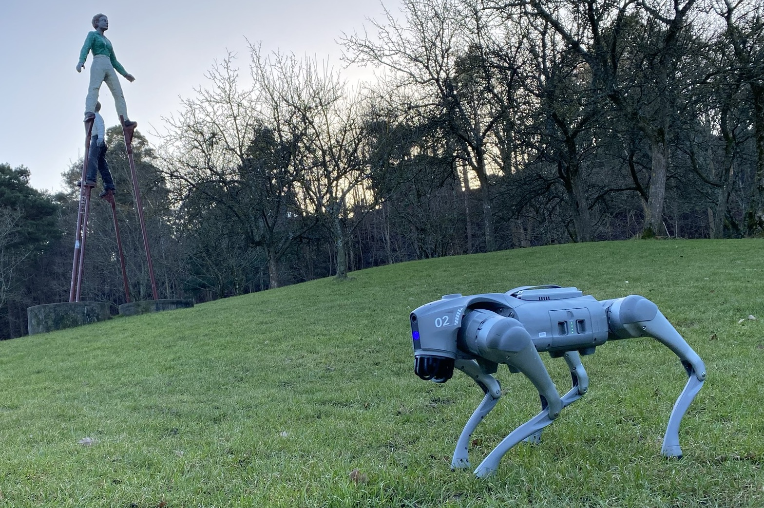 Fido standing